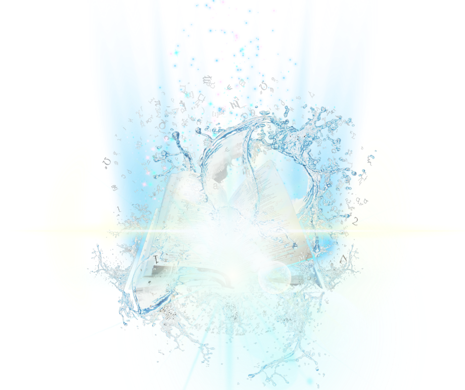 SSOC IMGB