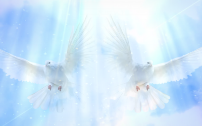 Field Update: Double White Wing Template + Pure Devotion + Arthur Message